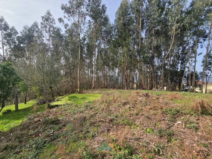 Terreno para Venda em Couto Foto 14