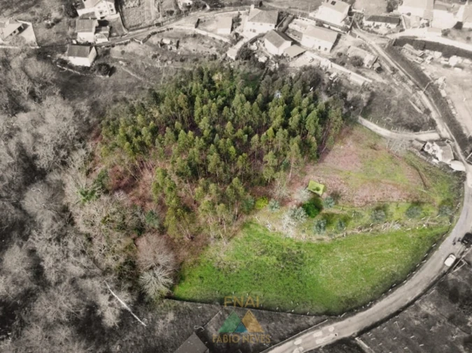 Terreno para Venda em Couto Foto 2