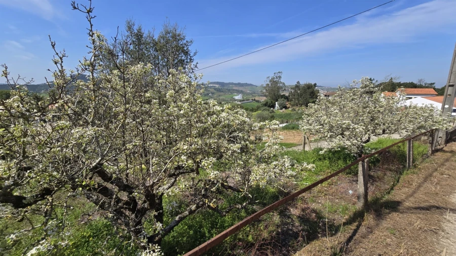 Terreno para Venda em Azueira e Sobral da Abelheira Foto 1