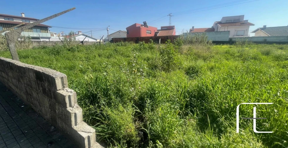 Terreno Agricola ou Rústico para Venda em Perafita, Lavra e Santa Cruz do Bispo Foto 4