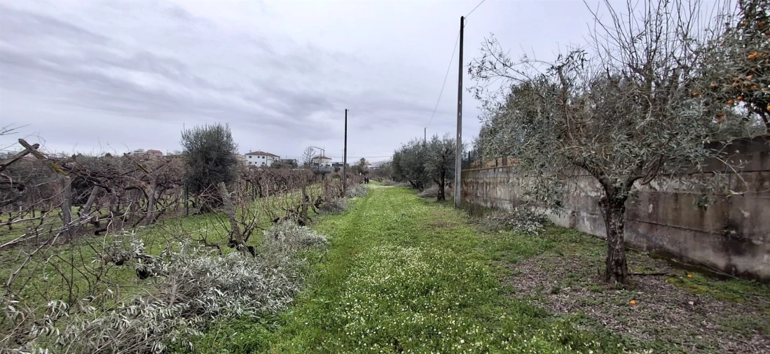 Moradia T6 para Venda em Insua Foto 23