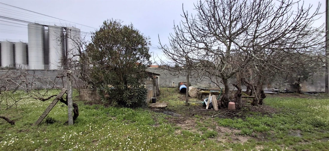 Moradia T6 para Venda em Insua Foto 22