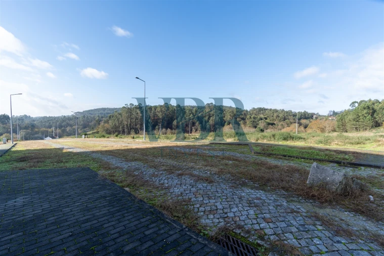 Terreno para Venda em Fonte Arcada e Oliveira Foto 11