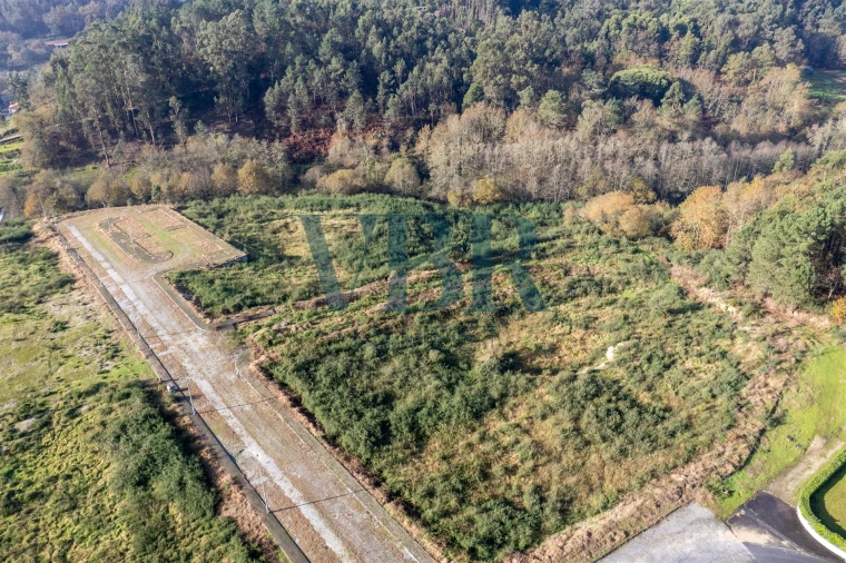 Terreno para Venda em Fonte Arcada e Oliveira Foto 2