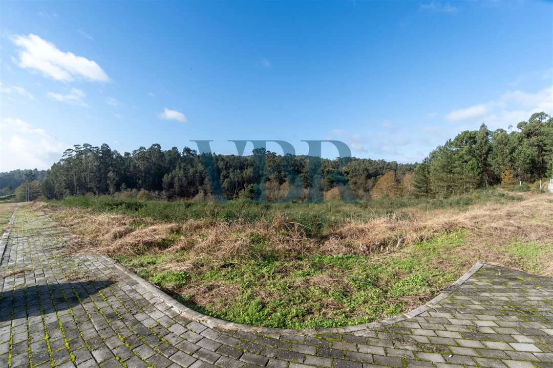 Terreno para Venda em Fonte Arcada e Oliveira Foto 10