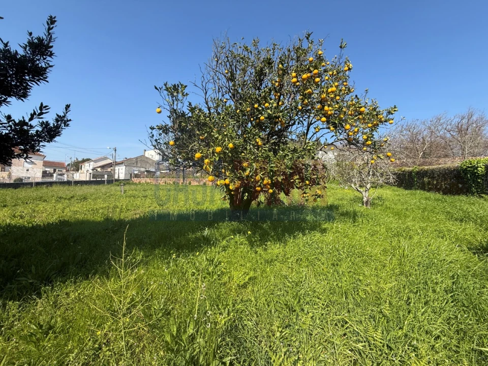 Terreno para Venda em Póvoa de Varzim, Beiriz e Argivai Foto 6