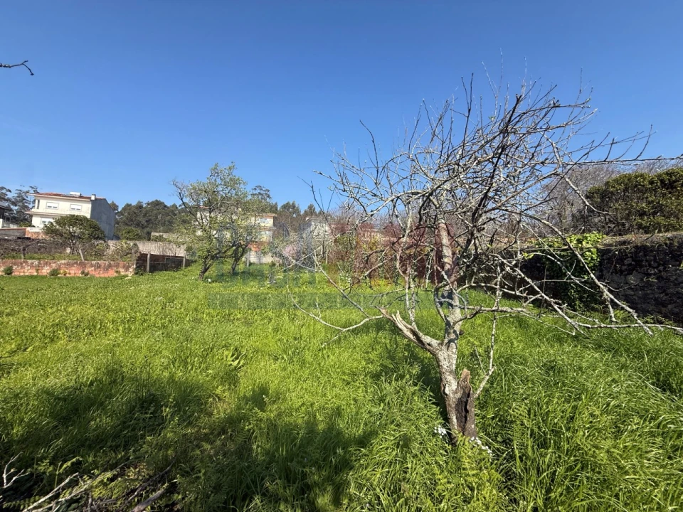 Terreno para Venda em Póvoa de Varzim, Beiriz e Argivai Foto 7