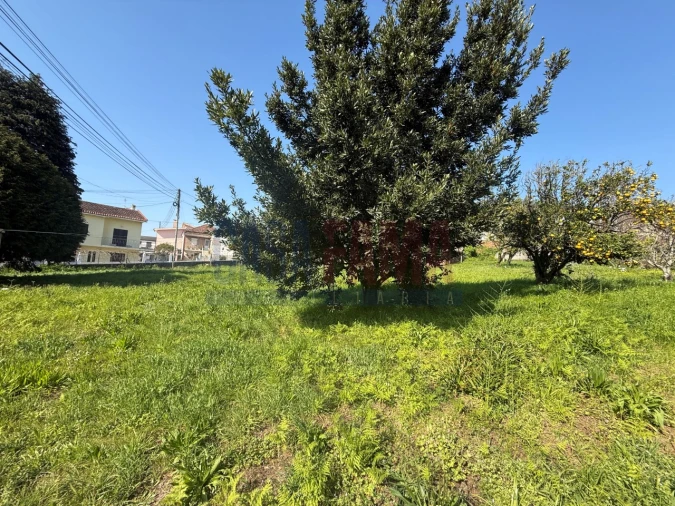 Terreno para Venda em Póvoa de Varzim, Beiriz e Argivai Foto 5