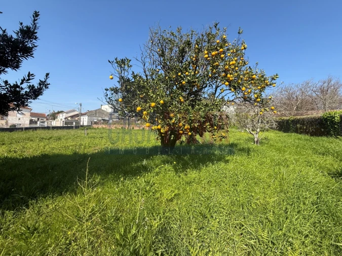 Terreno para Venda em Póvoa de Varzim, Beiriz e Argivai Foto 6