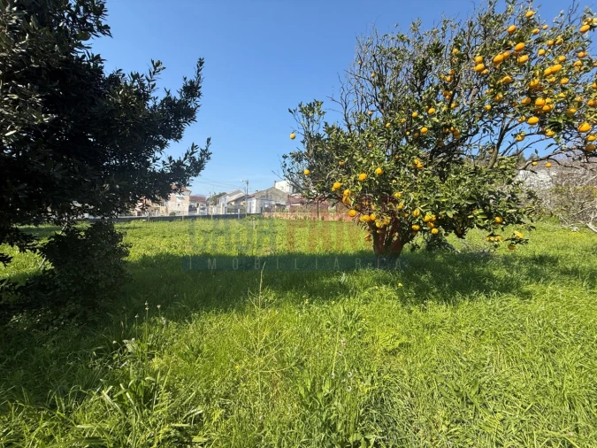 Terreno para Venda em Póvoa de Varzim, Beiriz e Argivai Foto 8