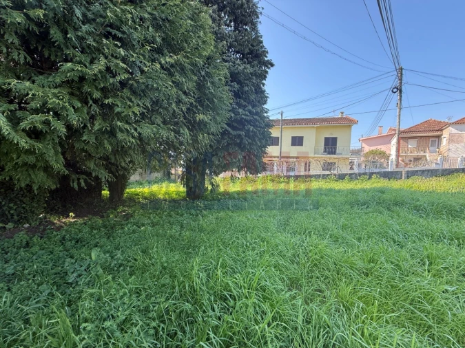 Terreno para Venda em Póvoa de Varzim, Beiriz e Argivai Foto 16