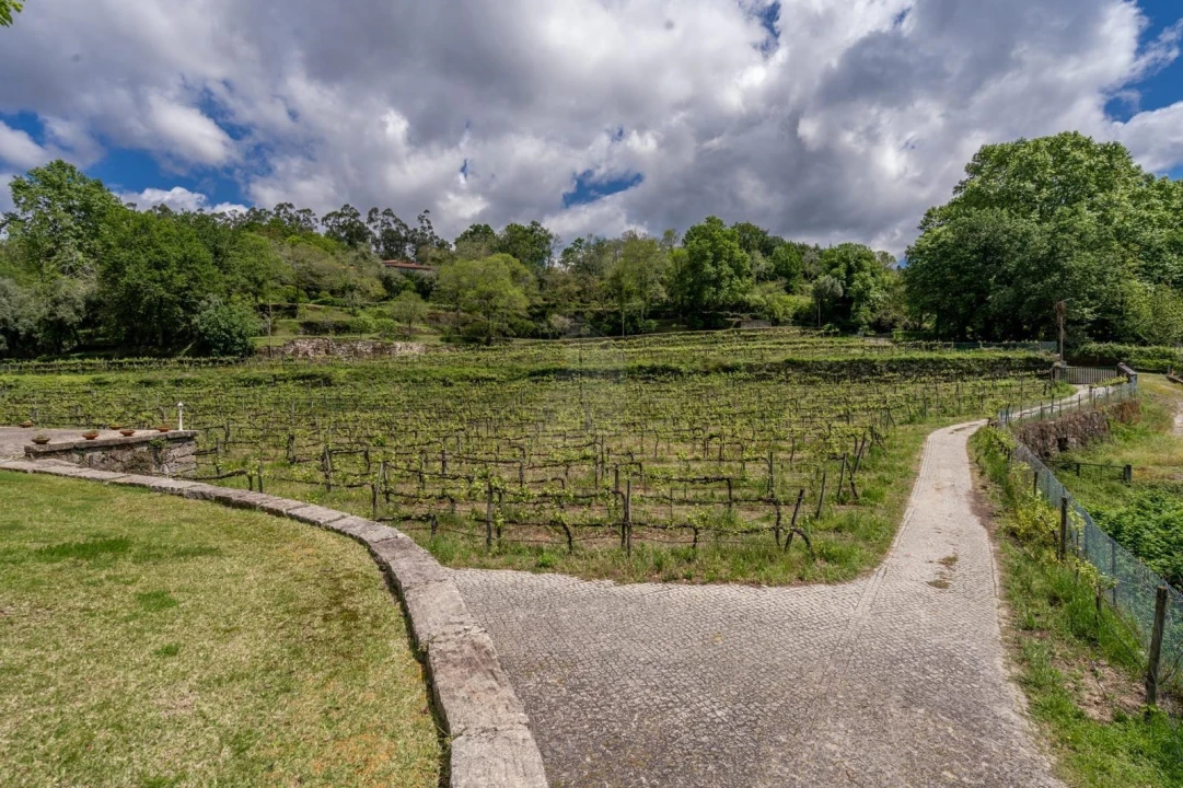 Quinta T3 para Venda em Bouro (Santa Maria) Foto 9