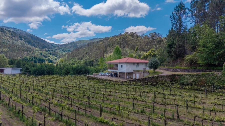 Quinta T3 para Venda em Bouro (Santa Maria) Foto 41