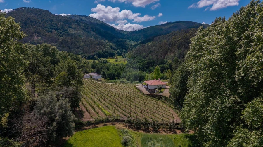 Quinta T3 para Venda em Bouro (Santa Maria) Foto 43