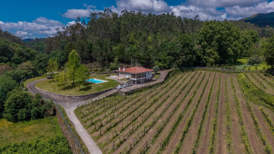 Quinta T3 para Venda em Bouro (Santa Maria) Foto 7