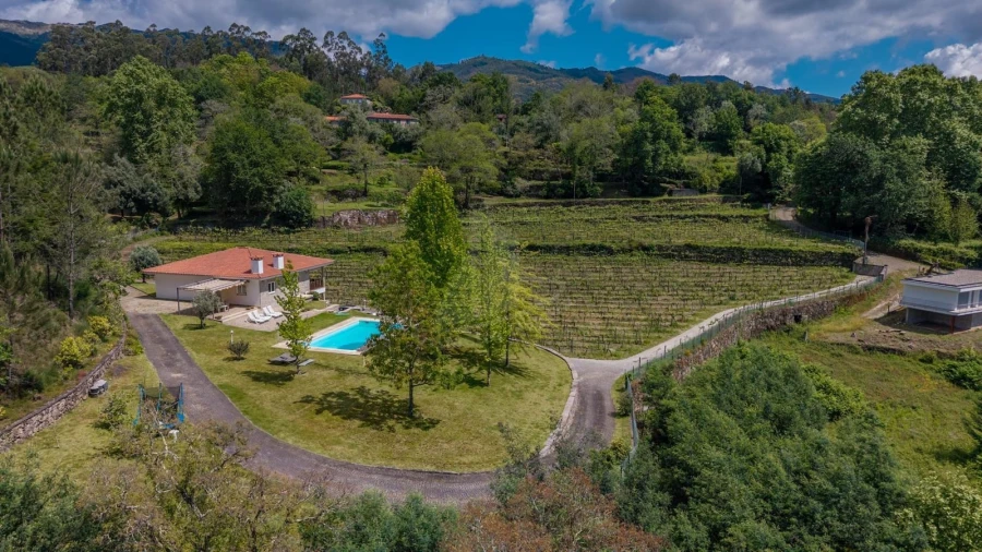 Quinta T3 para Venda em Bouro (Santa Maria) Foto 8