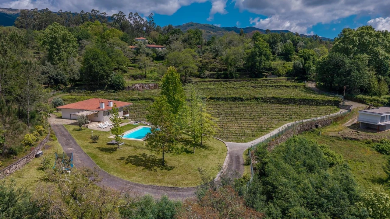 Quinta T3 para Venda em Bouro (Santa Maria) Foto 8