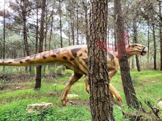 Moradia T2 para Venda em Lourinhã e Atalaia Foto 15