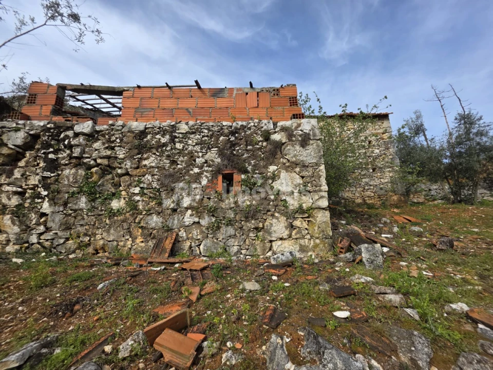 Quinta T3 para Venda em Chãos Foto 6
