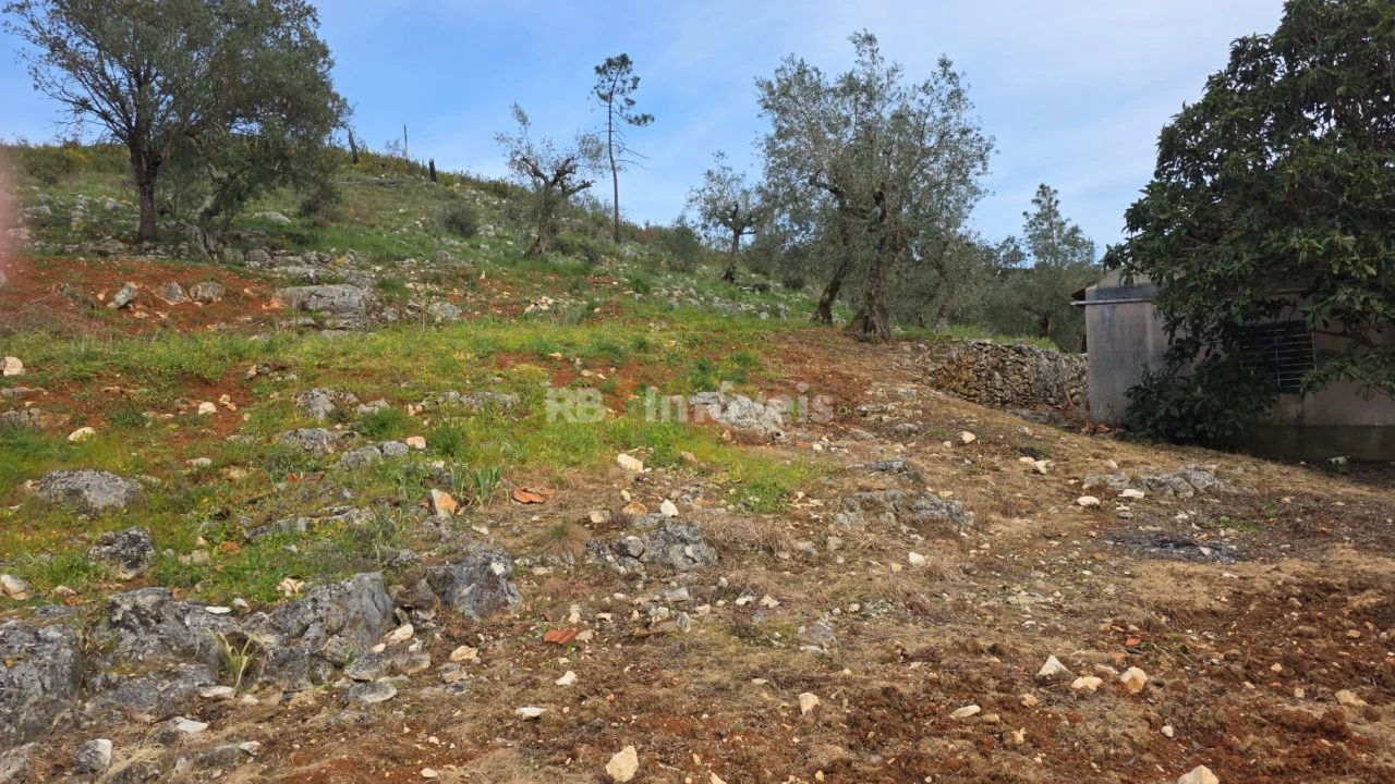 Quinta T3 para Venda em Chãos Foto 14