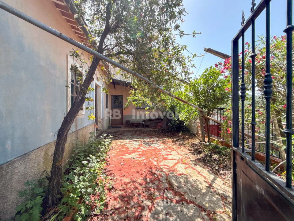 Quinta T3 para Venda em Chãos Foto 29