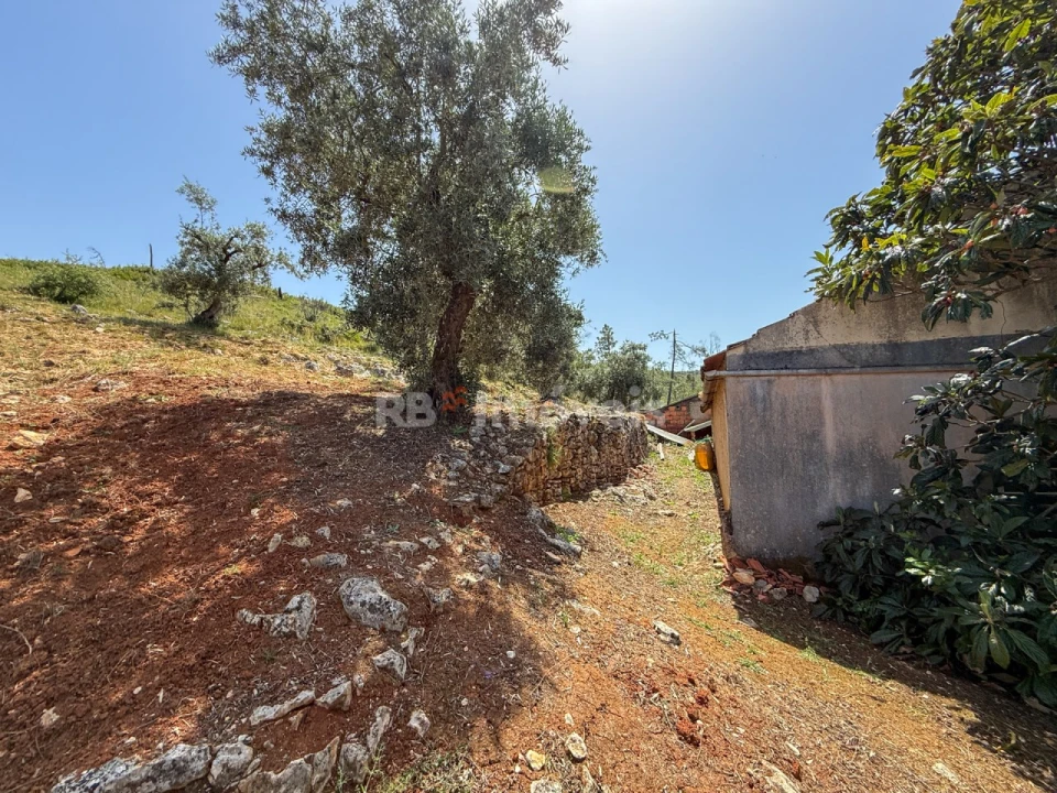 Quinta T3 para Venda em Chãos Foto 33