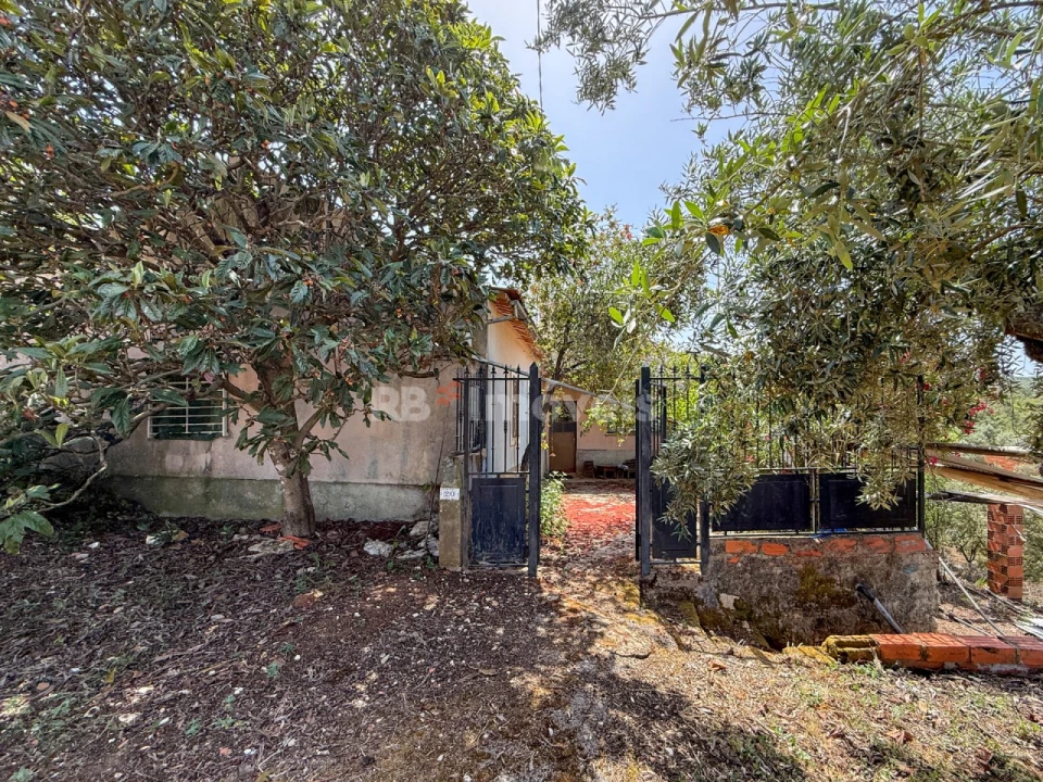 Quinta T3 para Venda em Chãos Foto 35