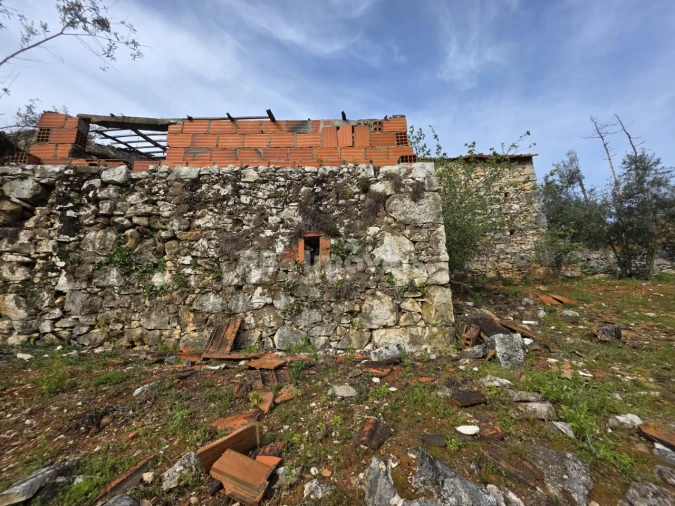 Quinta T3 para Venda em Chãos Foto 6