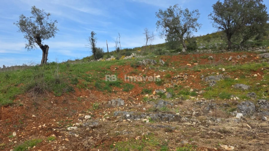 Quinta T3 para Venda em Chãos Foto 15