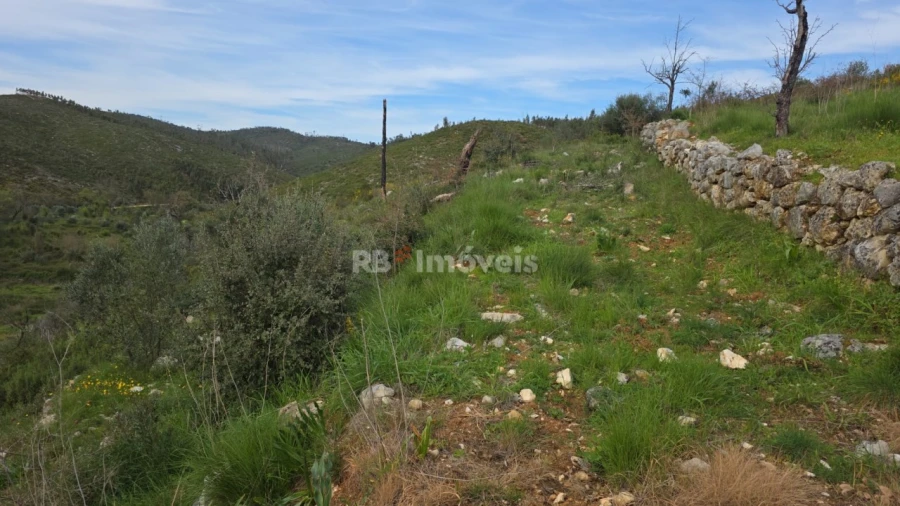 Quinta T3 para Venda em Chãos Foto 17