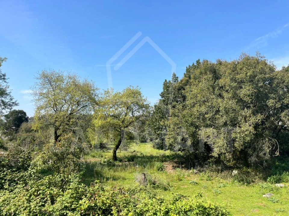 Terreno para Venda em Turquel Foto 2