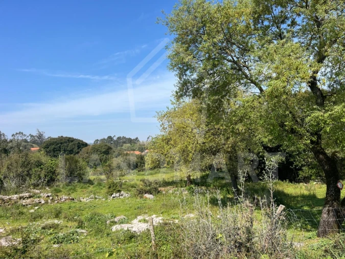 Terreno para Venda em Turquel Foto 3