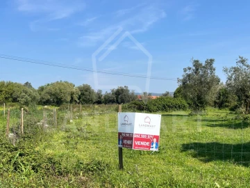 Terreno Agricola ou Rústico para Venda em Turquel