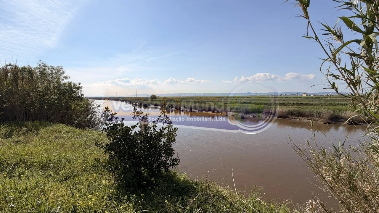 Terreno para Venda em Samora Correia Foto 13