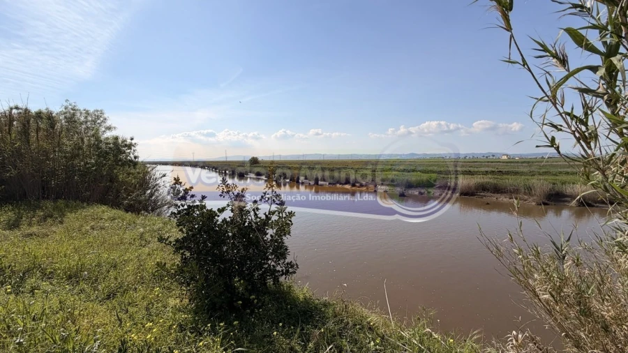 Terreno para Venda em Samora Correia Foto 13
