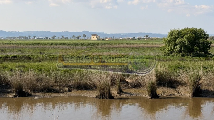 Terreno para Venda em Samora Correia Foto 14