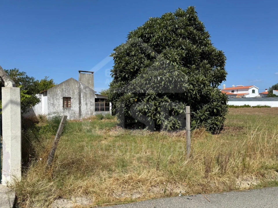 Terreno para Venda em Salvaterra de Magos e Foros de Salvaterra Foto 8