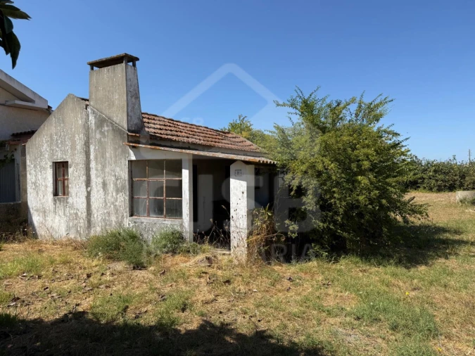 Terreno para Venda em Salvaterra de Magos e Foros de Salvaterra Foto 6