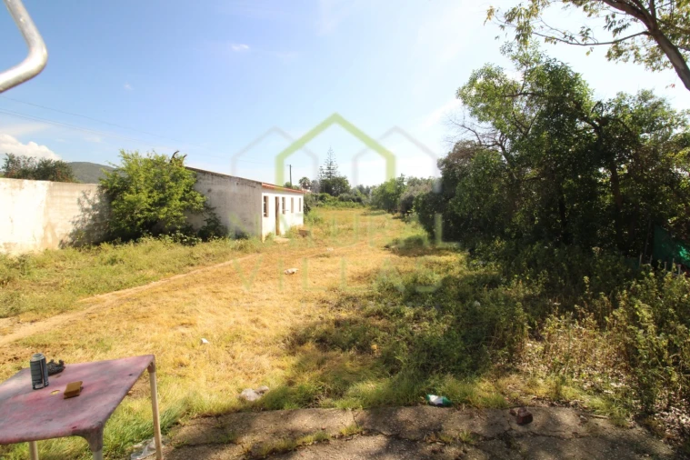 Terreno Misto para Venda em Santa Barbara de Nexe Foto 1