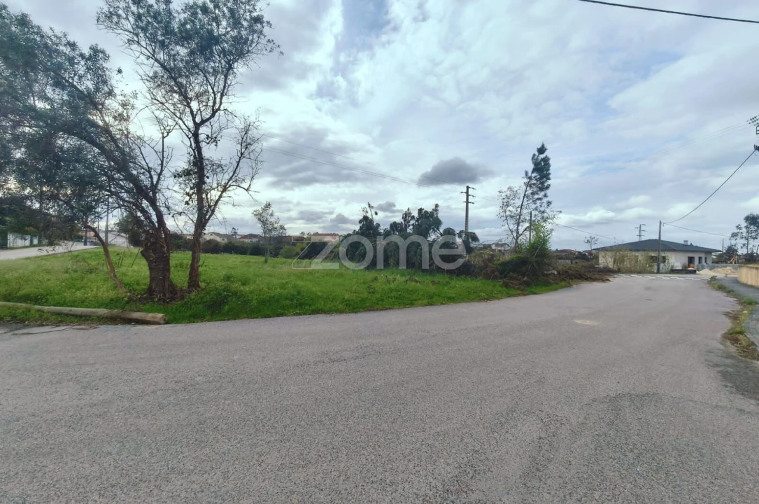 Terreno para Venda em Maceira Foto 16