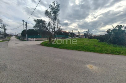 Terreno para Venda em Maceira