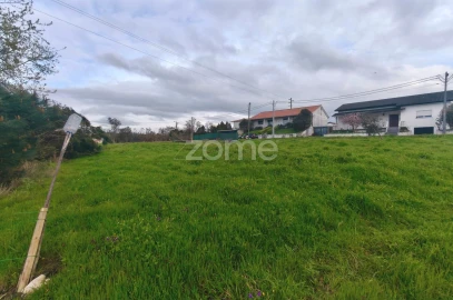 Terreno para Venda em Maceira