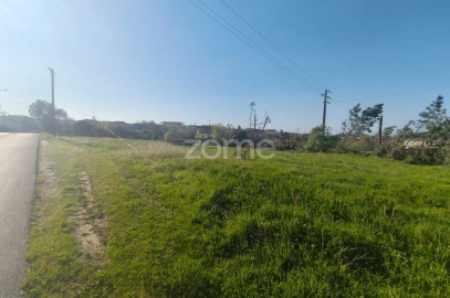 Terreno para Venda em Maceira