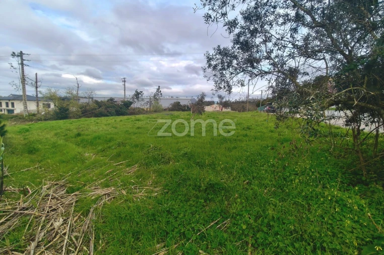 Terreno para Venda em Maceira Foto 5