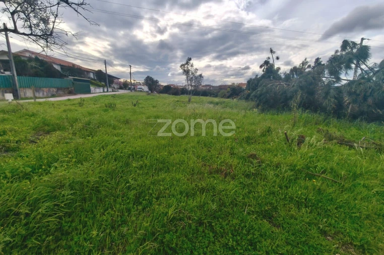 Terreno para Venda em Maceira Foto 7
