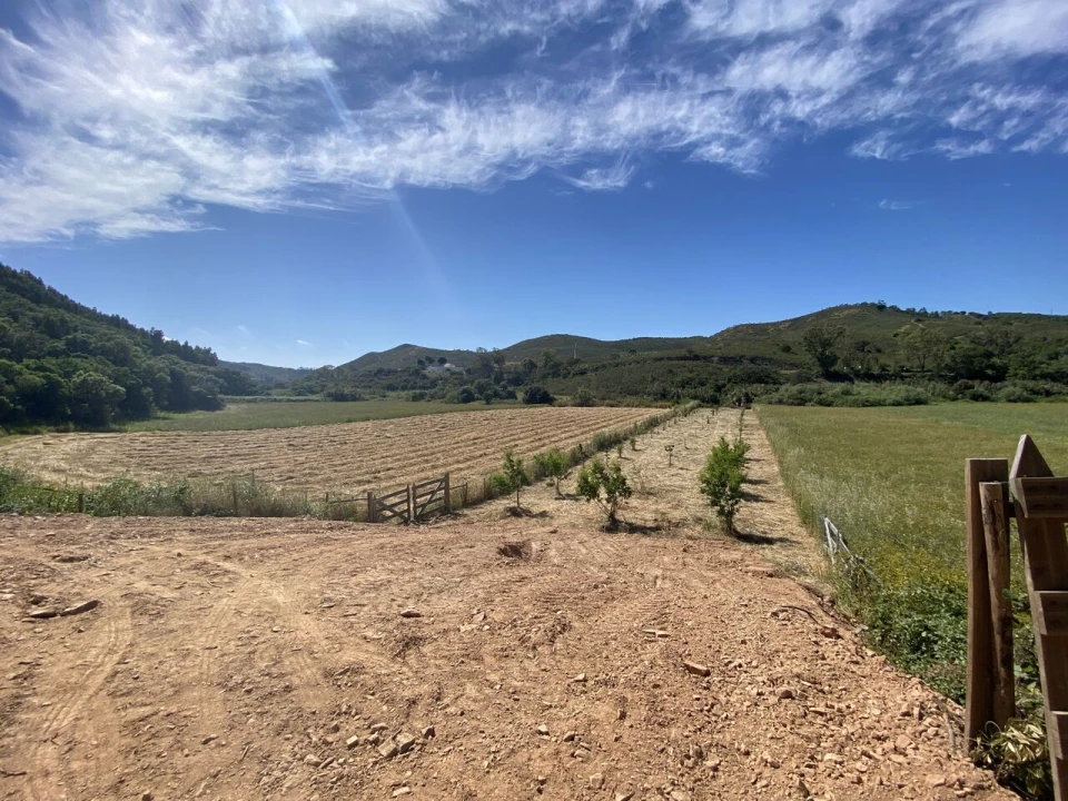 Terreno para Venda em Bordeira Foto 5
