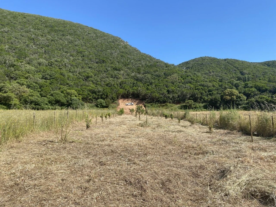 Terreno para Venda em Bordeira Foto 6