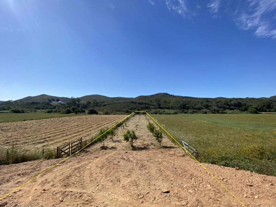 Terreno para Venda em Bordeira Foto 7