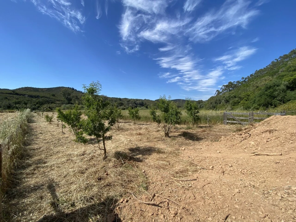 Terreno para Venda em Bordeira Foto 8