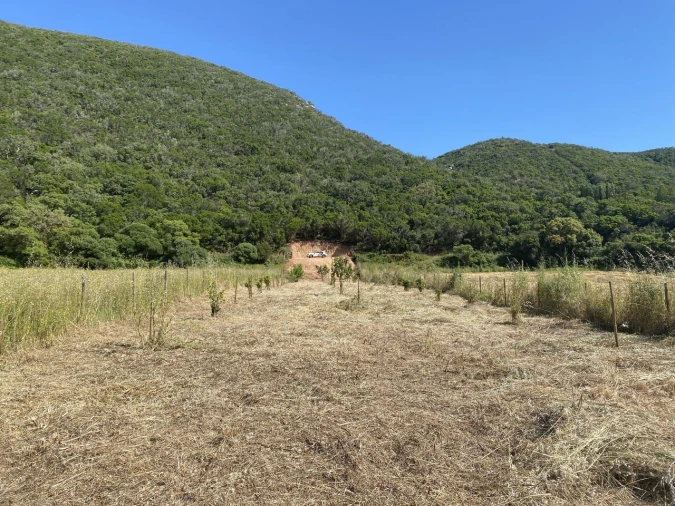 Terreno para Venda em Bordeira Foto 6